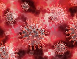 House GOP Investigating Coronavirus Origin, Mainstream Media Largely Silent