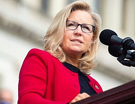 Midterm Roundup: Liz Cheney’s Last Stand